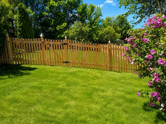 Cedar picket fence and walk gate