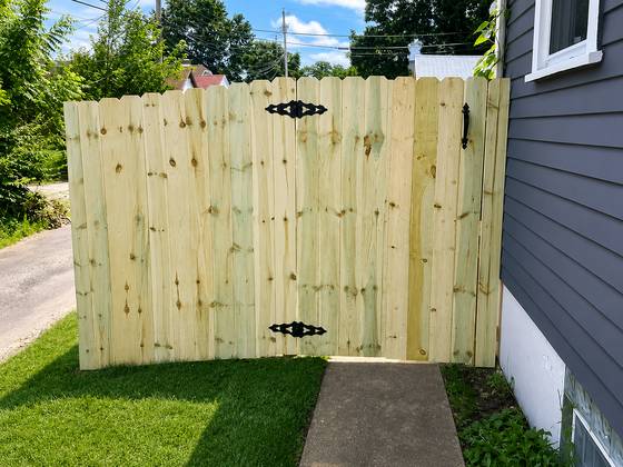 Treated pine dog-ear double gate