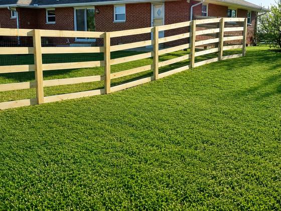 Wood ranch rail with wire mesh backing