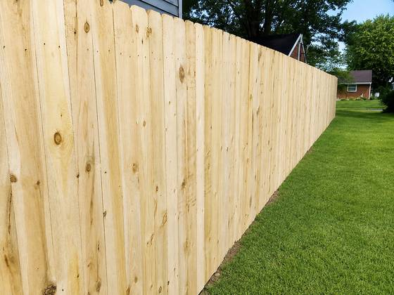 Treated pine dog-ear privacy, long run